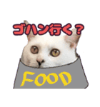 てつ vol.3（個別スタンプ：11）