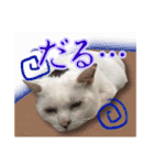 てつ vol.3（個別スタンプ：12）