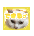 てつ vol.3（個別スタンプ：14）