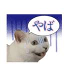 てつ vol.3（個別スタンプ：15）