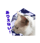 てつ vol.3（個別スタンプ：16）
