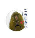 サザナミインコの葉(ヨウ)と珠(トモ)（個別スタンプ：5）