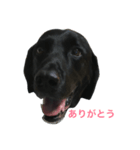 らぶまま（個別スタンプ：2）