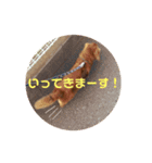 かわいいレオンたんのスタンプ（個別スタンプ：7）
