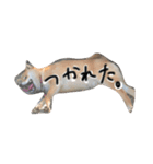 毎日ミミ（個別スタンプ：1）