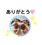 4姉弟（個別スタンプ：4）