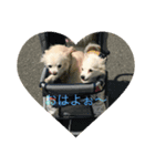 ハピポポ（個別スタンプ：6）
