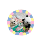 ハピポポ（個別スタンプ：7）