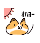 かわいい顔文字なネコたち Vol.1（個別スタンプ：2）