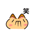 かわいい顔文字なネコたち Vol.1（個別スタンプ：31）