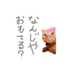 とらじのひとこと（個別スタンプ：1）