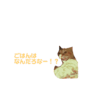 とらじのひとこと（個別スタンプ：3）