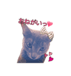 ジルさん♡スタンプ①（個別スタンプ：6）