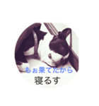 bebe  Life（個別スタンプ：1）