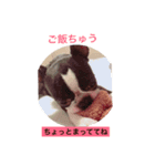 bebe  Life（個別スタンプ：5）