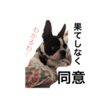 bebe  Life（個別スタンプ：7）
