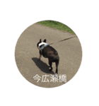 清志郎とハチ（個別スタンプ：14）