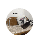 清志郎とハチ（個別スタンプ：22）