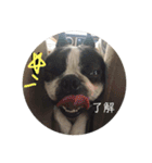 清志郎とハチ（個別スタンプ：23）