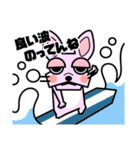 ぶさかわフレブル ベティ（個別スタンプ：11）