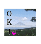 【富士山】あえて登らず車窓から見る（個別スタンプ：1）
