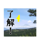 【富士山】あえて登らず車窓から見る（個別スタンプ：2）