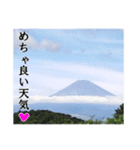 【富士山】あえて登らず車窓から見る（個別スタンプ：7）