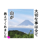 【富士山】あえて登らず車窓から見る（個別スタンプ：10）