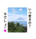 【富士山】あえて登らず車窓から見る（個別スタンプ：11）