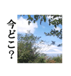 【富士山】あえて登らず車窓から見る（個別スタンプ：15）