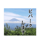 【富士山】あえて登らず車窓から見る（個別スタンプ：16）