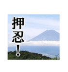【富士山】あえて登らず車窓から見る（個別スタンプ：21）