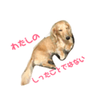 パールとムギ（個別スタンプ：1）