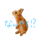 パールとムギ（個別スタンプ：2）