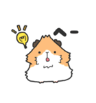 いろんなモルモットのスタンプ（個別スタンプ：3）
