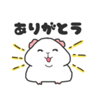 いろんなモルモットのスタンプ（個別スタンプ：8）
