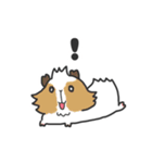 いろんなモルモットのスタンプ（個別スタンプ：9）