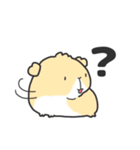 いろんなモルモットのスタンプ（個別スタンプ：10）