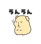 いろんなモルモットのスタンプ（個別スタンプ：11）