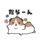 いろんなモルモットのスタンプ（個別スタンプ：14）