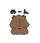 いろんなモルモットのスタンプ（個別スタンプ：20）