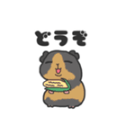 いろんなモルモットのスタンプ（個別スタンプ：21）