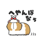 いろんなモルモットのスタンプ（個別スタンプ：22）