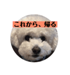 ココノエ（個別スタンプ：1）