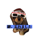 ココノエ（個別スタンプ：4）