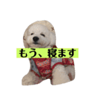 ココノエ（個別スタンプ：5）