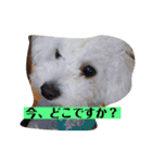 ココノエ（個別スタンプ：7）