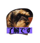 ココノエ（個別スタンプ：10）