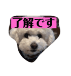 ココノエ（個別スタンプ：11）