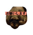ココノエ（個別スタンプ：12）